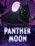 สนุกไปกับการทดลอง เล่น ฟรี live22 ที่คุณควรลอง